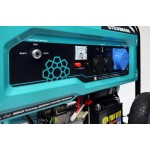 Бензиновый генератор STEVIMAN GR-7500