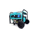  Бензиновый генератор STEVIMAN GR-6500