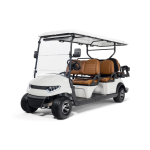 Гольфкар STEVIMAN GOLFER 6