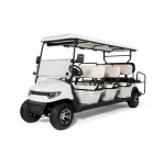 Гольфкар STEVIMAN GOLFER 8