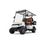 Гольфкар STEVIMAN GOLFER 4