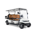 Гольфкар STEVIMAN GOLFER 6