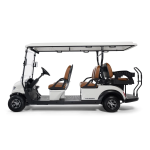 Гольфкар STEVIMAN GOLFER 6