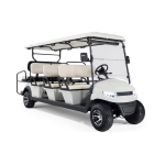 Гольфкар STEVIMAN GOLFER 8