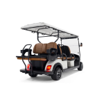 Гольфкар STEVIMAN GOLFER 6