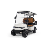 Гольфкар STEVIMAN GOLFER 4