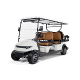 Гольфкар STEVIMAN GOLFER 6