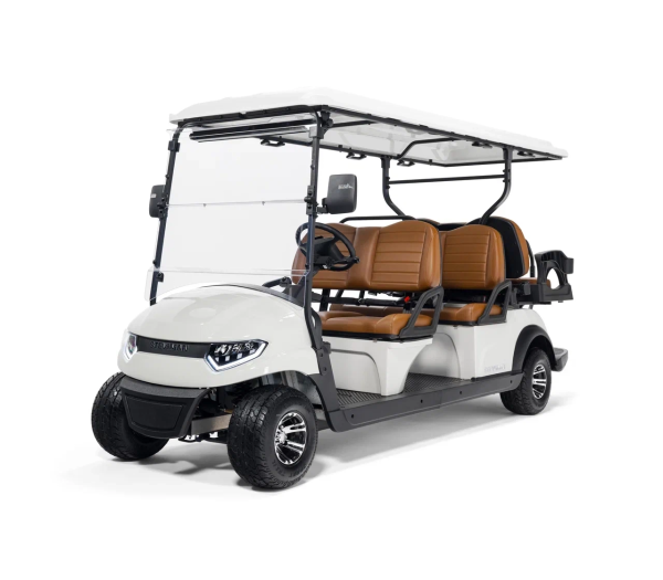 Гольфкар STEVIMAN GOLFER 6