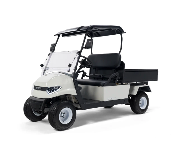 Гольфкар STEVIMAN PARTNER 500